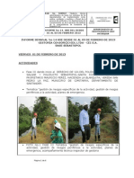 INFORME - SEMANAL - No - 01-02-2013 AL 03-02-2013 HSE1