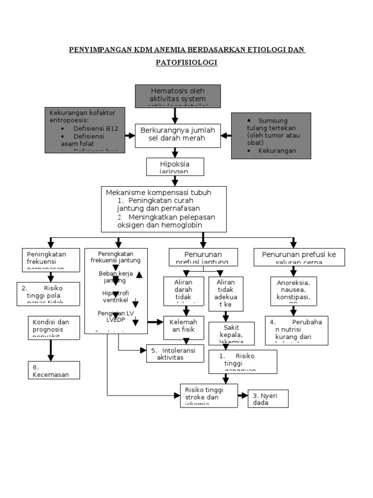 Penyimpangan KDM Anemia | PDF