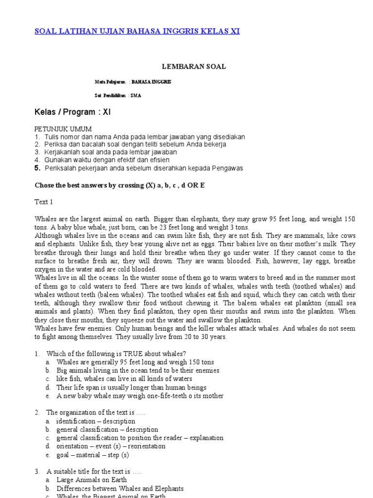 Soal Materi Cause And Effect Kelas 11