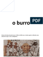 o burro