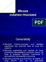 66_Micoze.ro-2