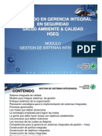 Gce034 2008 Material Gestion Sistemas Integrados