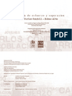 Un recorrido por la historia y el desarrollo del barrio Carlos Condell-Rahue Alto