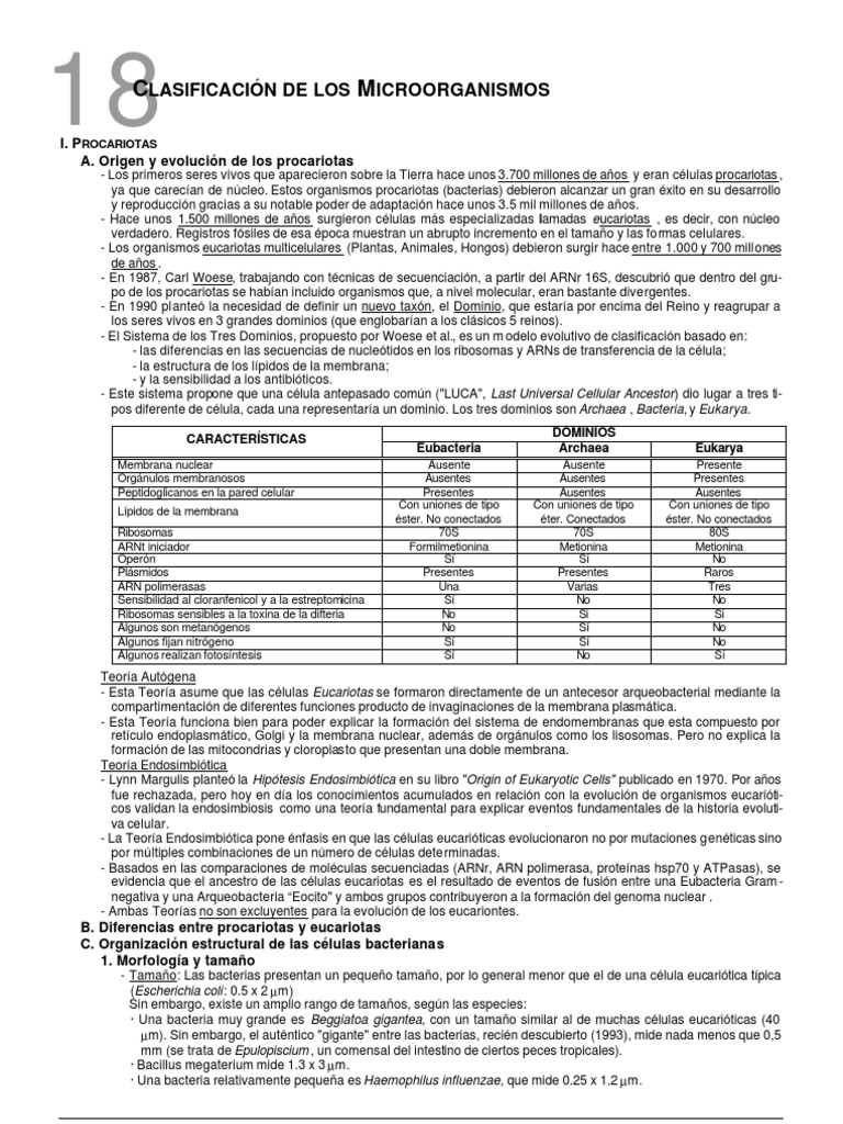 Clasificación de Microorganismos: Procariotas y Eucariotas | PDF | Las ...