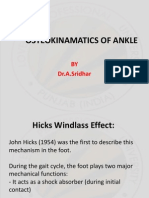 Windlass Effect Ankle Joint