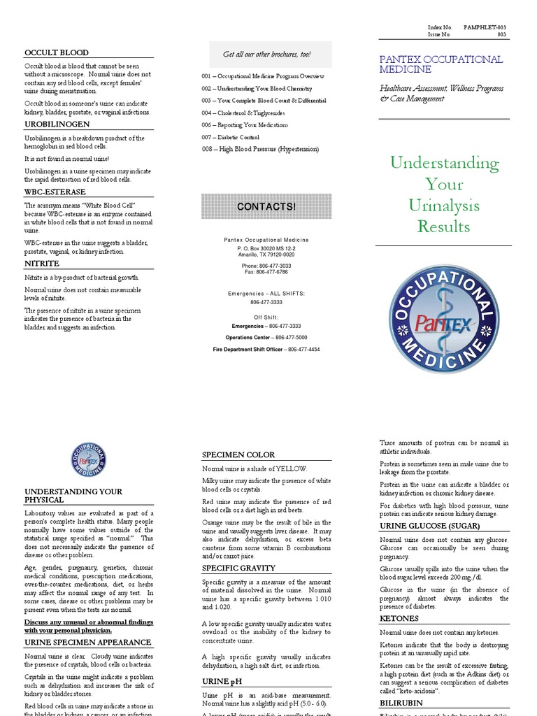 Understanding Your Urinalysis Results Download Free PDF Urine