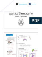 CIRCULATORIO ZOOLOGÍA.pdf