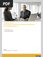 SAP Master Data Management Guide