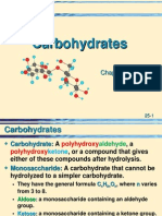 25 Carbohydrates.