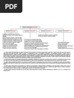 Ficha informativa orações relativas