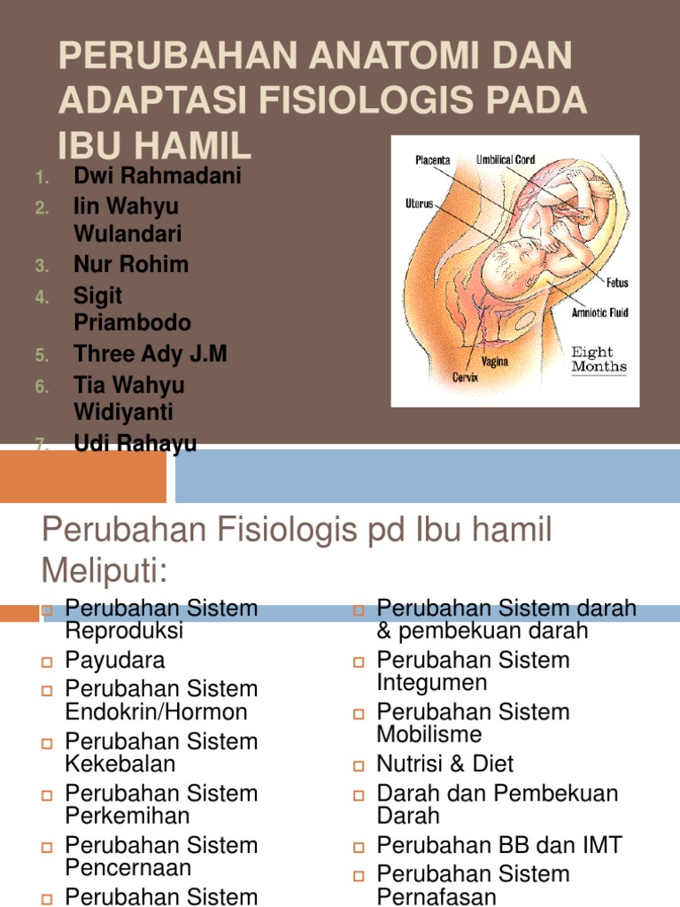  Perubahan  Anatomi Dan Adaptasi Fisiologis Pada  Ibu  Hamil 