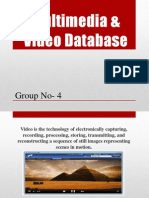 Multimedia & Video Database.pptx