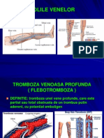 Bolile Venelor - Curs