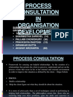 Process Consultation