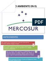Medio Ambiente en El Mercosur