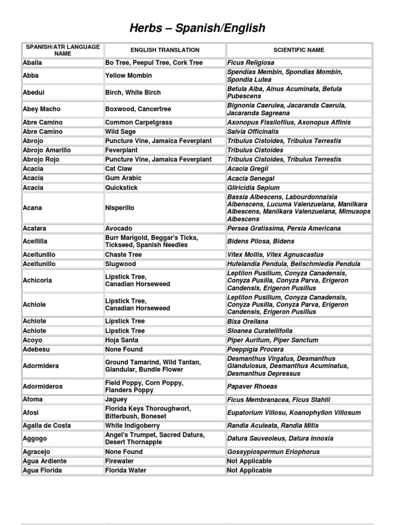 62218501 Herbs English Spanish Translation[1] Fennel Capsicum