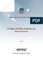 Manual Consulta Processual2