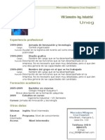 Curriculum Vitae Modelo1 Verde