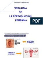 4-fisiologiareproduccionfemenina-100121114423-phpapp01