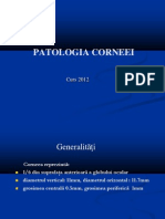 2.PATOLOGIA CORNEEI