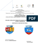 Dinamica Peisajului Urban În Oraşele Giurgiu Şi Călăraşi - Studiu Comparativ