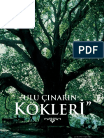 Ulu Cinarin Kokleri