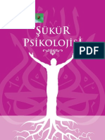 2009-02-0100 19sukur Psikolojisi