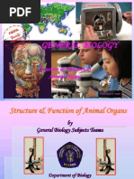 Download Organ-Struktur Dan Fungsi Hewan-SP by Atika Yahdiyani SN125590845 doc pdf
