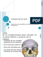 huesosdelacara-100907134819-phpapp02