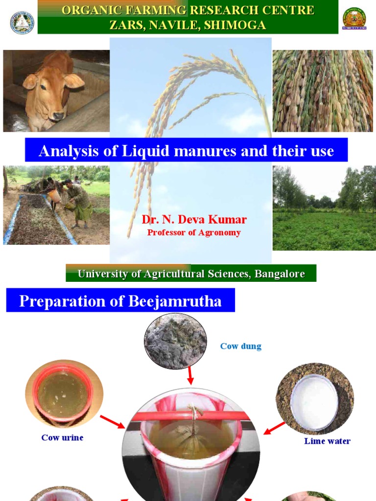 Beejamrutha and Jeevamrutha Preparation Guide | PDF | Manure | Colony ...