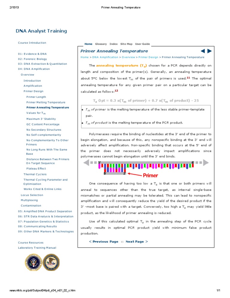 Primer Annealing Temperature PDF Primer (Molecular Biology