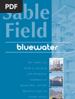 Bluewater Sable
