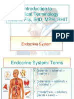 Endocrine System