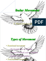 Mandibular Movement Types and Borders