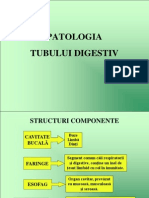  Tub Digestiv Ficat