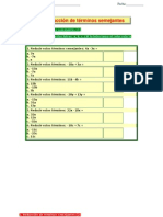 Prueba de Terminos Semejantes