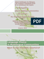 Language Choice in Multilingual Communities