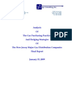Hedgingreport2009 PDF