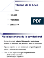 TEMA 38 DIAPOSITIVAS Flora y Mec Defensa Boca
