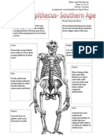 Australopithecus Input Chart