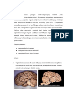 Tegmentum