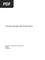 Download Lab Youngs Double Slit by Aneesh Karir SN125733922 doc pdf