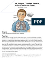 Nose Conductive Zone PDF