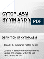Cytoplasm by Yin and Yan