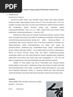 Download Xanthomonasdocx by Dea Apriyani SN125770245 doc pdf