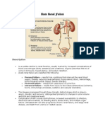 Acute Renal Failure