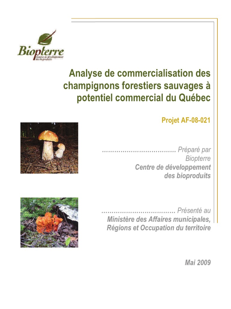 Analyse Commercialisation Champignons Potentiel Commercial PDF PDF — free download