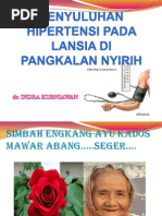 Download Penyuluhan Hipertensi Pada Lansia Di Pangkalan Nyirih by Indra Kurniawan SN125790624 doc pdf