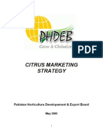 Citrus Marketing Strategy