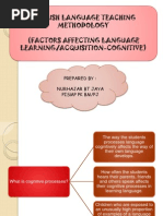 PKU3105 Factors Affecting Language Learning Aquisition